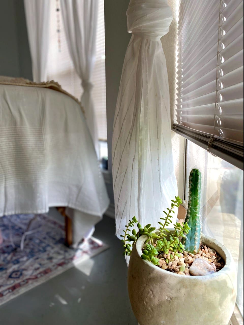A close-up view of a sunlit window corner featuring a beige ceramic pot filled with small succulents and a tall cactus, nestled in pebbles with a crystal resting on top. Soft white curtains are tied back, and blinds filter the natural light. In the background, a massage or treatment table covered in white linens and a patterned rug create a calm and cozy atmosphere.